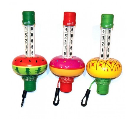 Mini thermomètre vision tendance