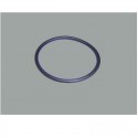 Joint de diffuseur pompe Victoria (ASTRAL)