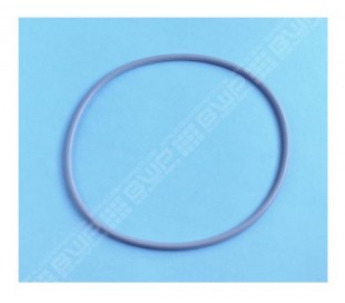 Joint couvercle filtre Triton / Tagelus (PENTAIR)