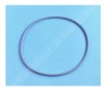 Joint couvercle filtre Triton / Tagelus (PENTAIR)