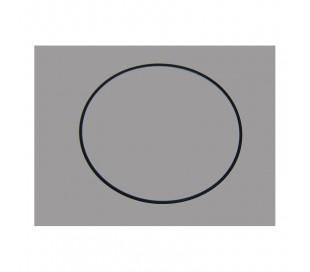 Joint couvercle Filtre Volcano (ASTRAL)
