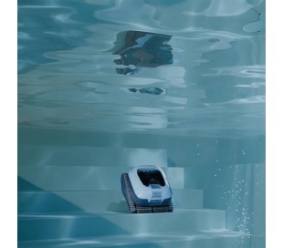 ROBOT DOLPHIN EON 100