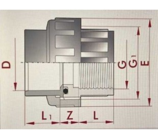 RACCORD UNION TARAUDE 63X2